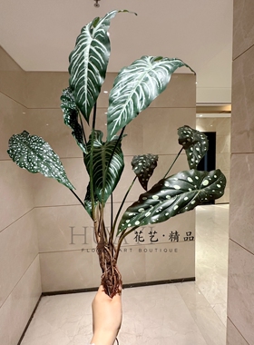 仿真绿植室内装饰大型叶片植物虹鳟海棠叶芋叶假花摆件