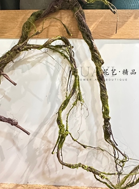 苔藓藤丝仿真藤蔓树藤枯藤青苔藤条软藤可随意造型花艺素材造景