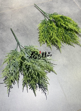 柏树枝把束新年插花绿植素材松柏树叉圣诞树装饰品家居摆放造景