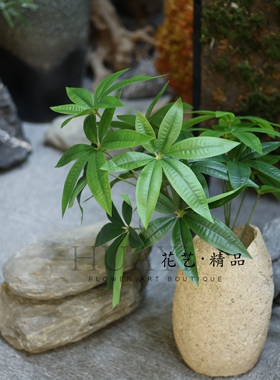 园林景观招财树仿真植物发财树花箱造景拍照道具爬宠缸绿植