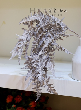 带白霜波士顿蕨波斯草微垂悬挂植物仿真花造景素材美陈摆放