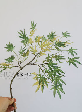 渐变色绿枫叶树叶仿真红枫叶黄色鸡爪槭美国枫大树装饰场景装饰