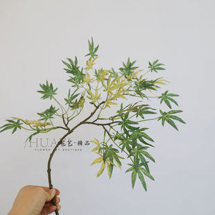 渐变色绿枫叶树叶仿真红枫叶黄色鸡爪槭美国枫大树装饰场景装饰