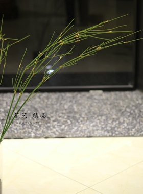 仿真竹子植物装饰摆件线条型小树枝绿植假花斑节竹木贼插花枝条