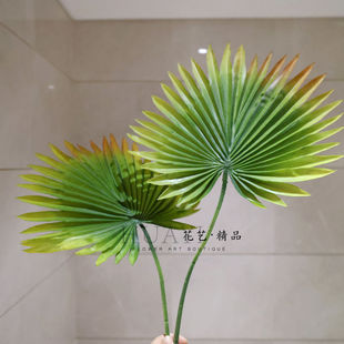 渐变色棕榈叶仿真蒲葵叶插花大叶材热带植物山葵扇葵叶圆叶子