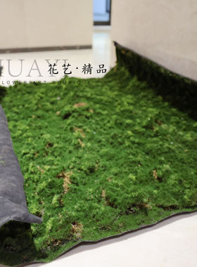 仿真青苔草坪草皮苔藓微景观绿色山丘毛石头拍摄背景植物墙造景