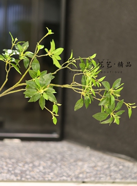 仿真绿叶枝条北欧简约家居装饰插花艺摆件马醉木叶吊钟叶植物花卉