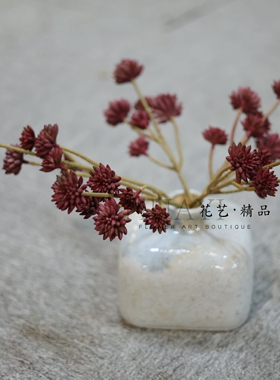 红色小花蕾丝装饰森系仿真花艺摆件多肉植物