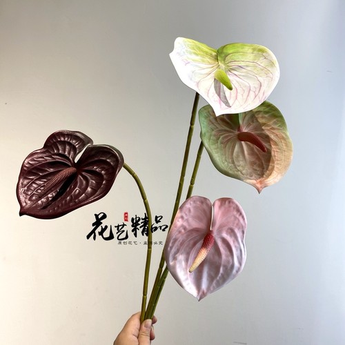 仿真红掌手感绿掌白掌