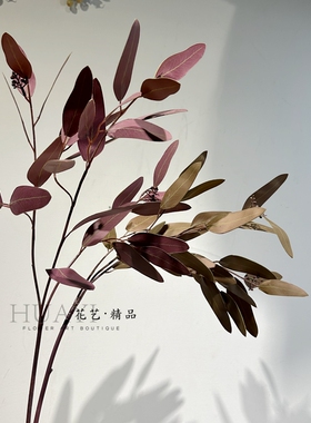 轻奢创意彩色尤加利叶子仿真花
