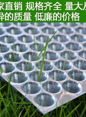 。434孔353孔561孔育秧盘人工抛秧盘塑料透明新料PVC水稻育苗盘包