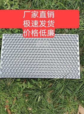 PVC手抛秧盘抛秧水稻盘人工育苗盘加厚白色一级塑料透明434孔秧盘