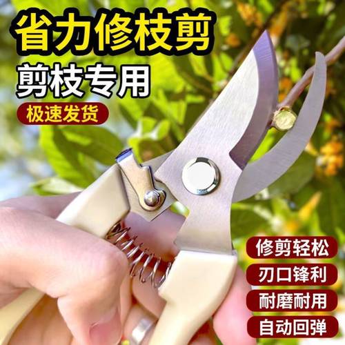 强力加厚钢果树修枝剪粗枝剪刀园林园艺修花剪家用神器