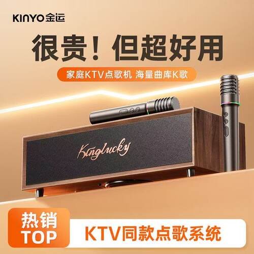 金运V1家用KTV音响一体机麦克风