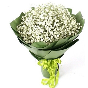 石河子市新城向阳红山老街东城街道鲜花店七夕节速递玫瑰情人节