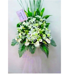 城步县全部儒林广场新世纪服装广场新宁县鲜花店速递白事花圈清明