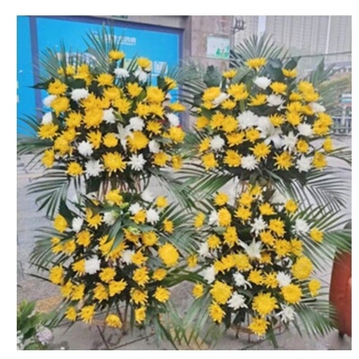东莞黄江镇天虹黄江大道嘉荣梅塘田心汽车站配送白事花圈鲜花菊花