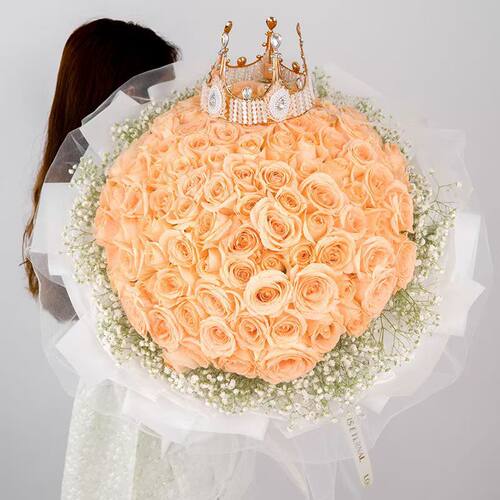 邵阳双清大祥北塔区邵东隆回洞口