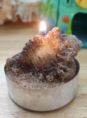 Candle出口节日圣诞家居装饰蜡烛烘焙生日蛋糕蜡烛沙滩海螺造型1
