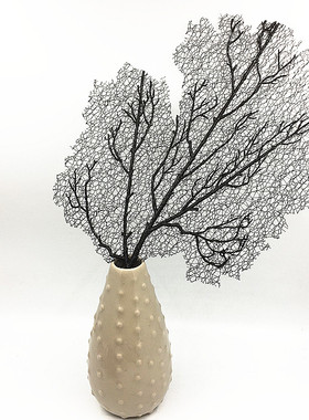 diy树叶手工装饰画拍照道具插花