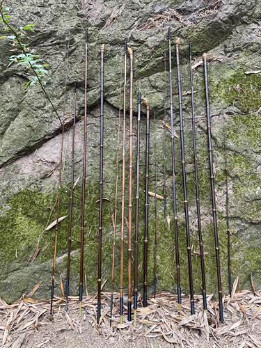 休闲垂钓必入101-200元紫竹中国
