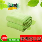 Giường flannel chăn lông cừu san hô chăn đệm tấm đôi fale thảm ấm áp chăn giản dị mùa đông - Ném / Chăn