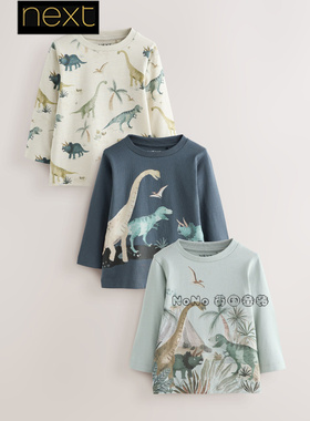英国Next代购男童蓝灰色恐龙印花纯棉长袖T恤衫1-7岁圆领F89-737