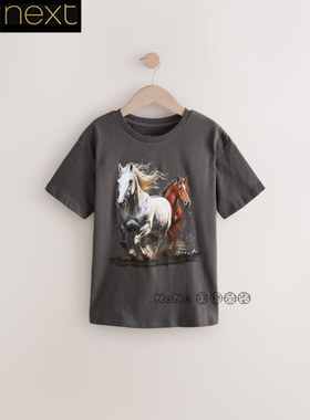 英国Next正品女大童亲子灰色大马OVER长款纯棉短袖T恤运动AR6-318