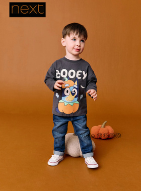 英国Next男童灰色万圣节南瓜布鲁伊宾果纯棉长袖T恤1-8岁AR6-323