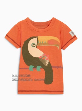 现货英国Next正品男童橙色大嘴鸟半袖T恤纯棉新款374-315