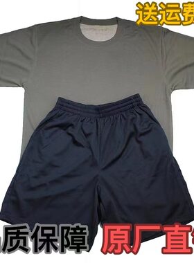 正品体能服夏季男上衣军迷制式t恤裤tn短袖新式作训服体能训练服