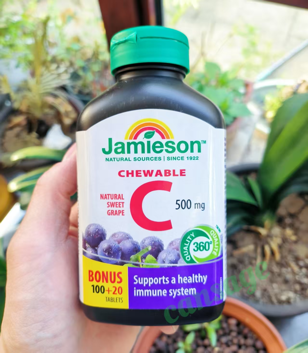 Jamieson/健美生维生素C咀嚼片