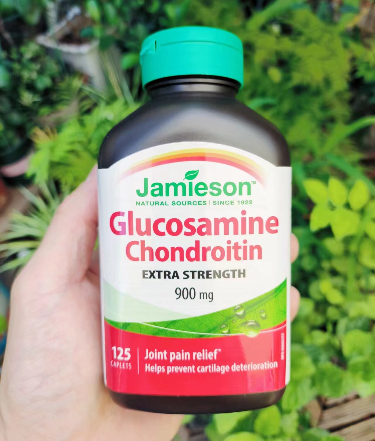 代购 加拿大 jamieson健美生 葡萄糖胺维骨力 软骨素 125粒 900mg