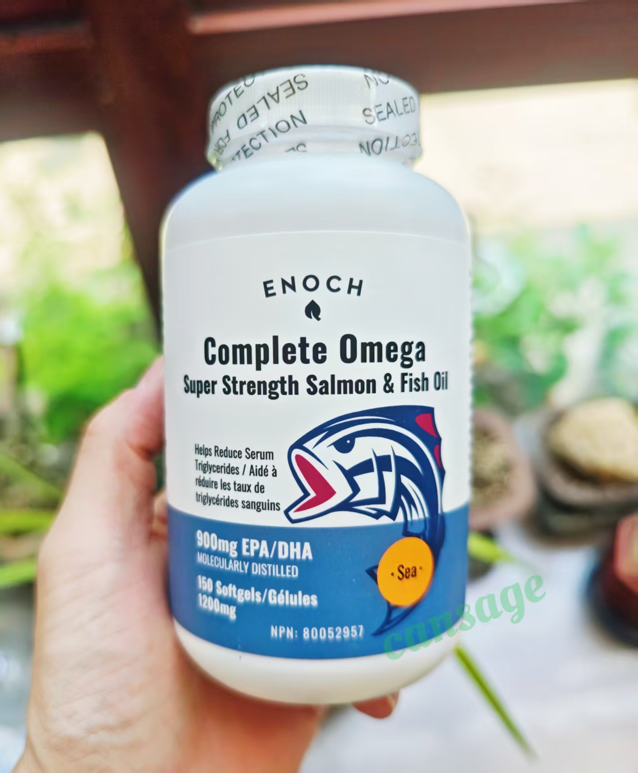 加拿大enoch高含量浓缩三文鱼油