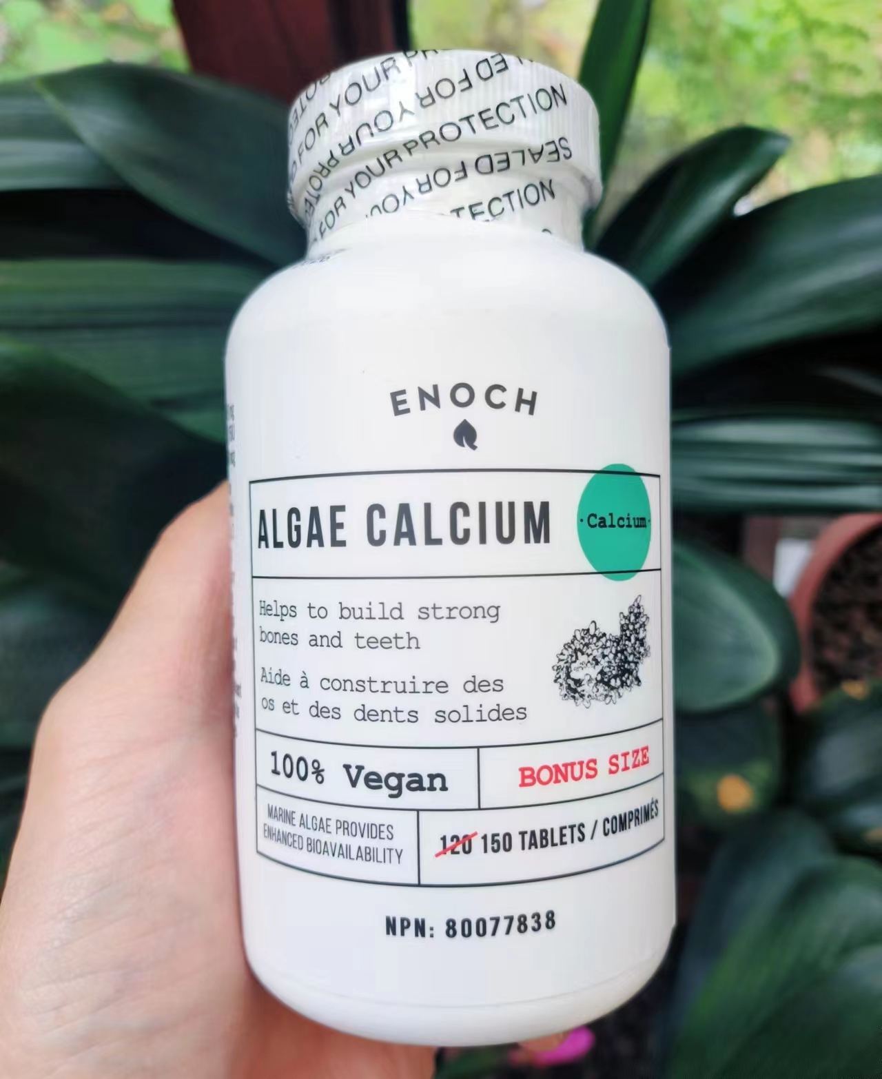 植物红海藻钙120+30粒