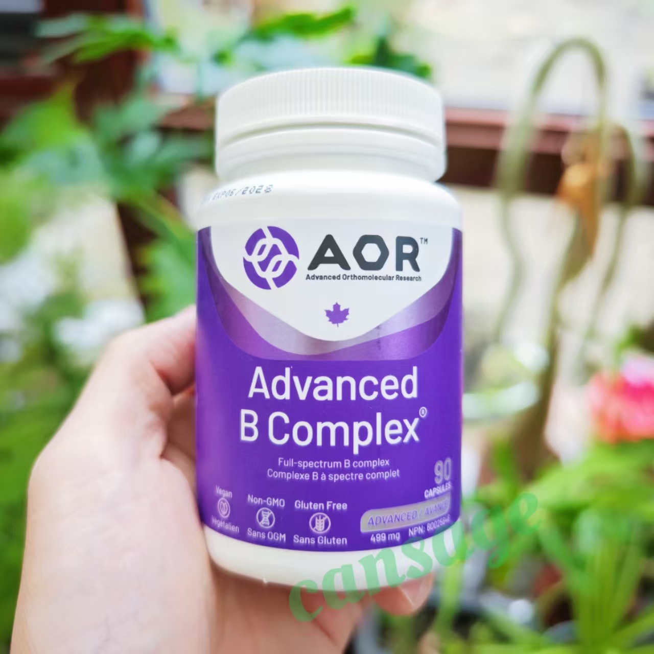 AORAdvancedBComplex维生素B