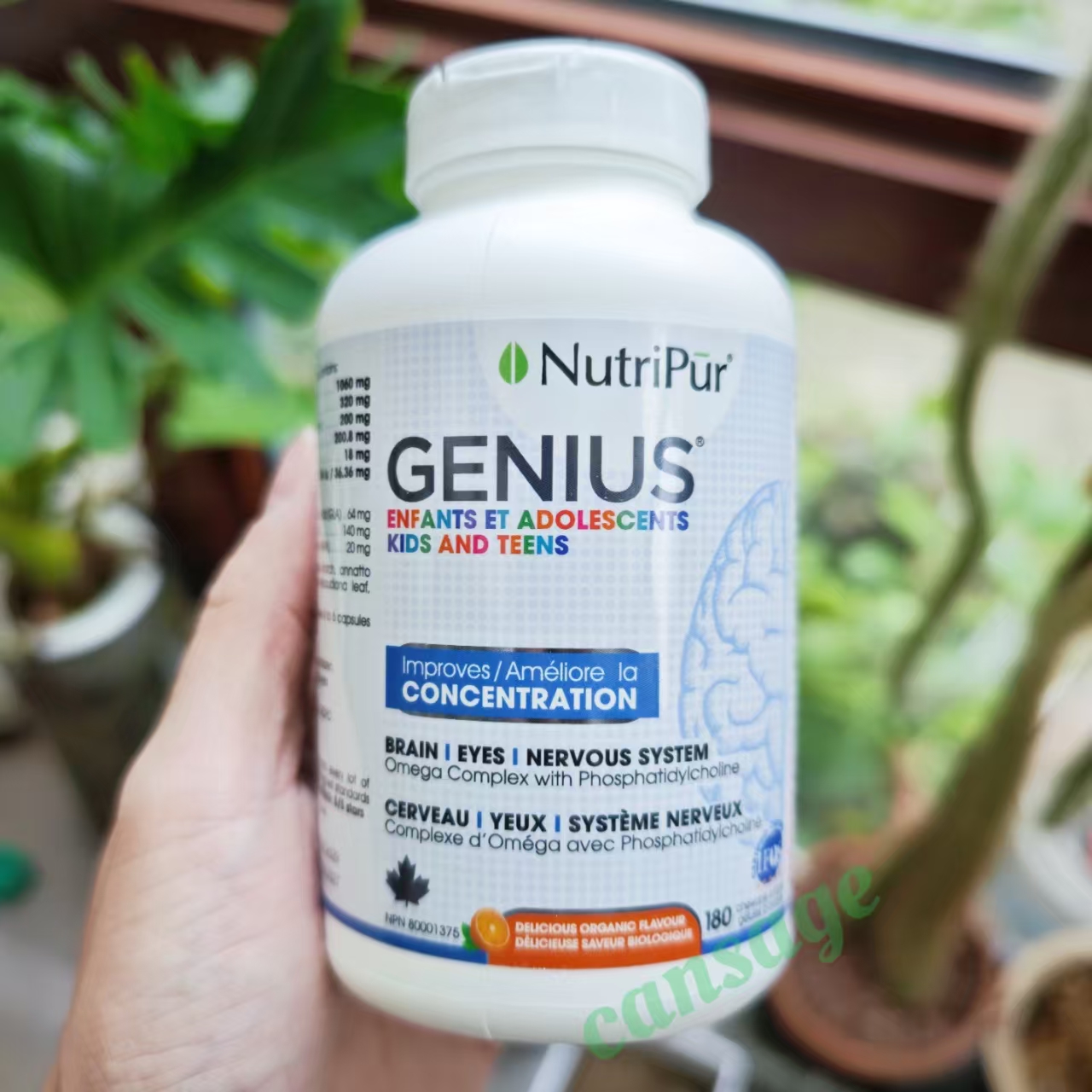 NutriPur儿童学霸聪明豆