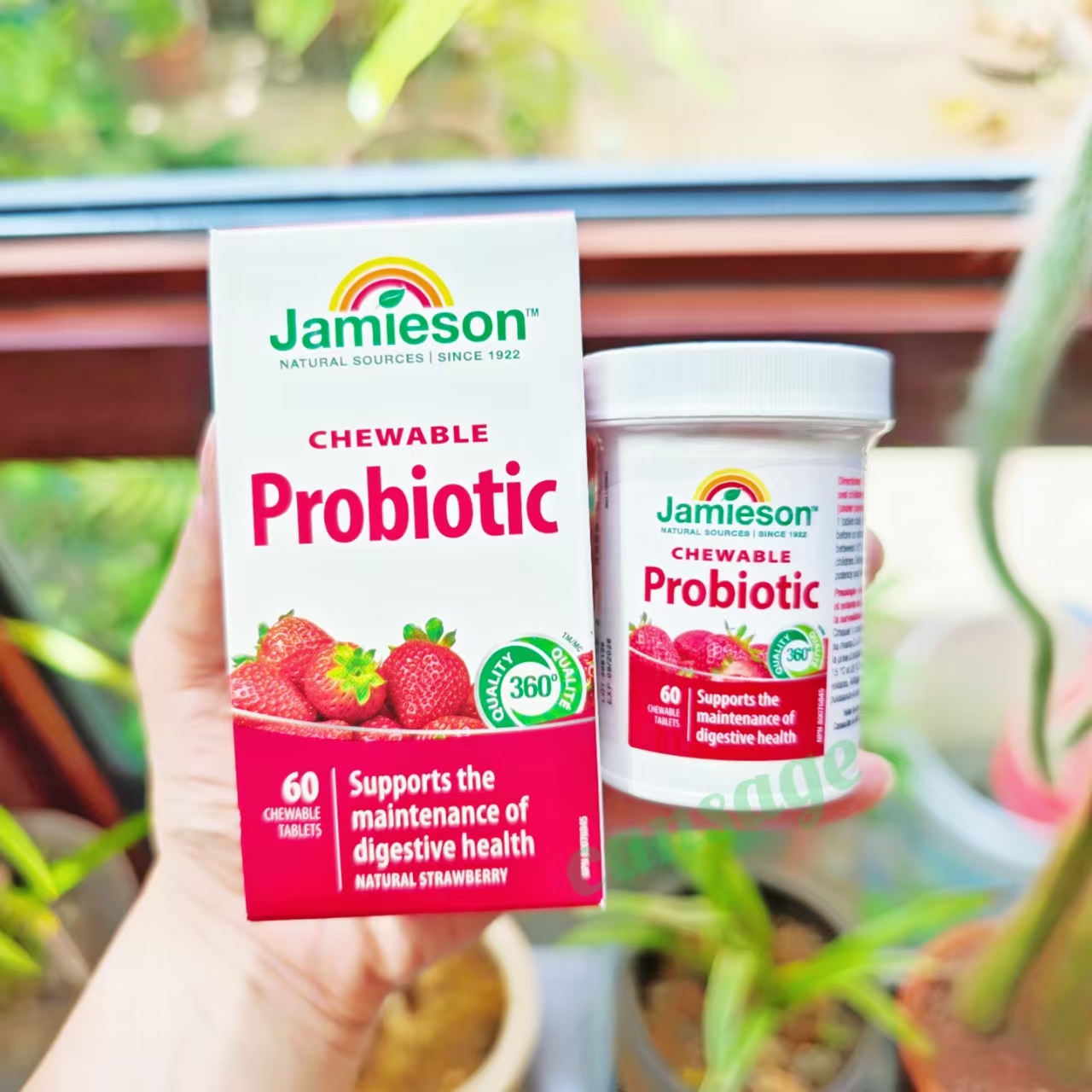 健美生儿童成人益生菌咀嚼片