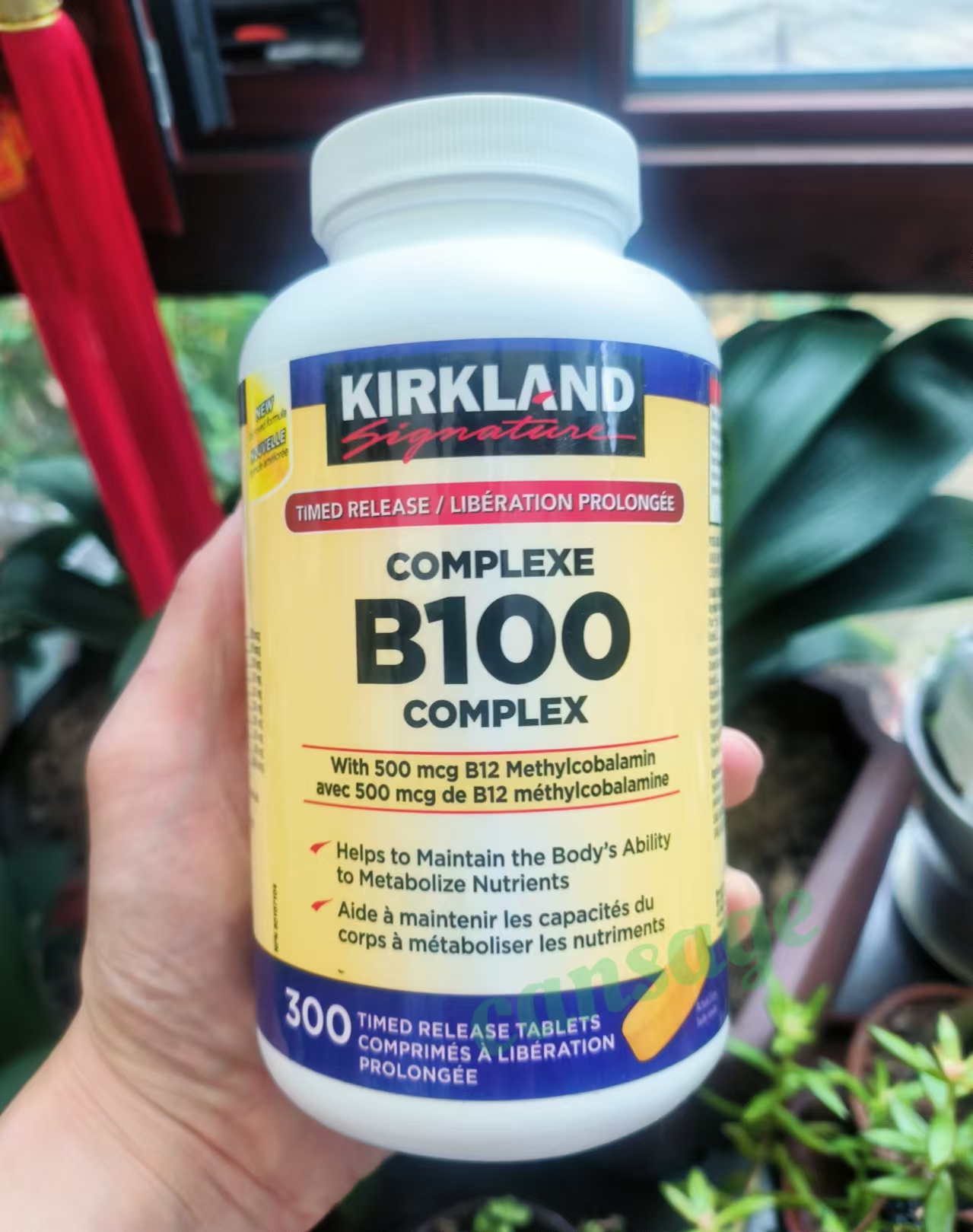 加拿大可兰复合维生素b100