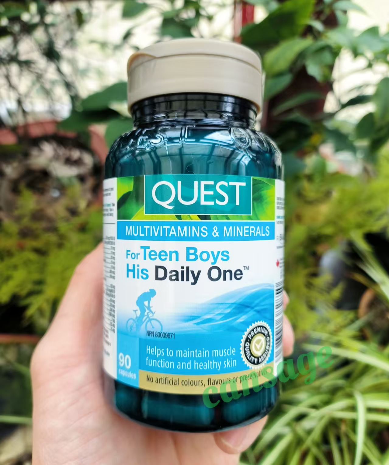 加拿大Quest青少年多维