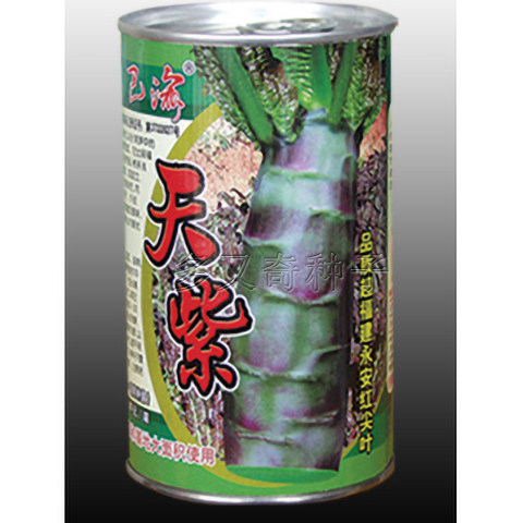 天紫莴笋种子 红尖叶莴苣种子紫皮绿肉莴笋种子 秋冬蔬菜种子50g