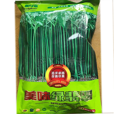 美味绿翡翠茼蒿种子 小叶光杆茼蒿菜种子 早熟生长快速 蒿菜500g