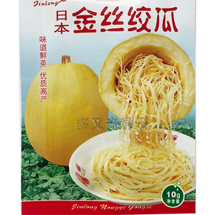 金丝搅瓜种子 粉丝瓜种子 凉拌粉丝瓜鱼翅瓜种子 春播南瓜种子10g
