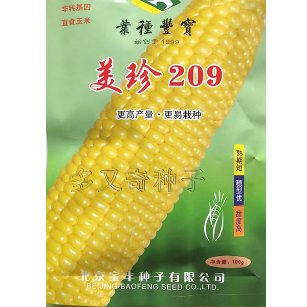 美珍209玉米种子 春播高秧纯黄色水果玉米种子鲜食超甜蔬菜玉米籽