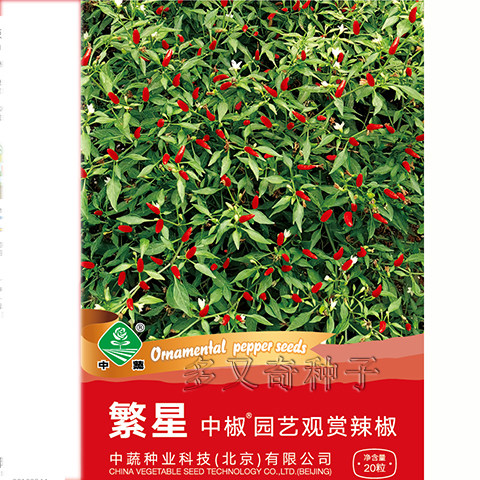 繁星辣椒种子 指形朝天椒种子 红色观赏小辣椒种子味辣阳台盆栽种