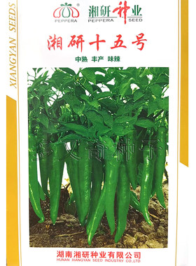 湘研15号辣椒种子 浅绿质细软味辣牛角椒耐热寒耐旱春秋蔬菜种子