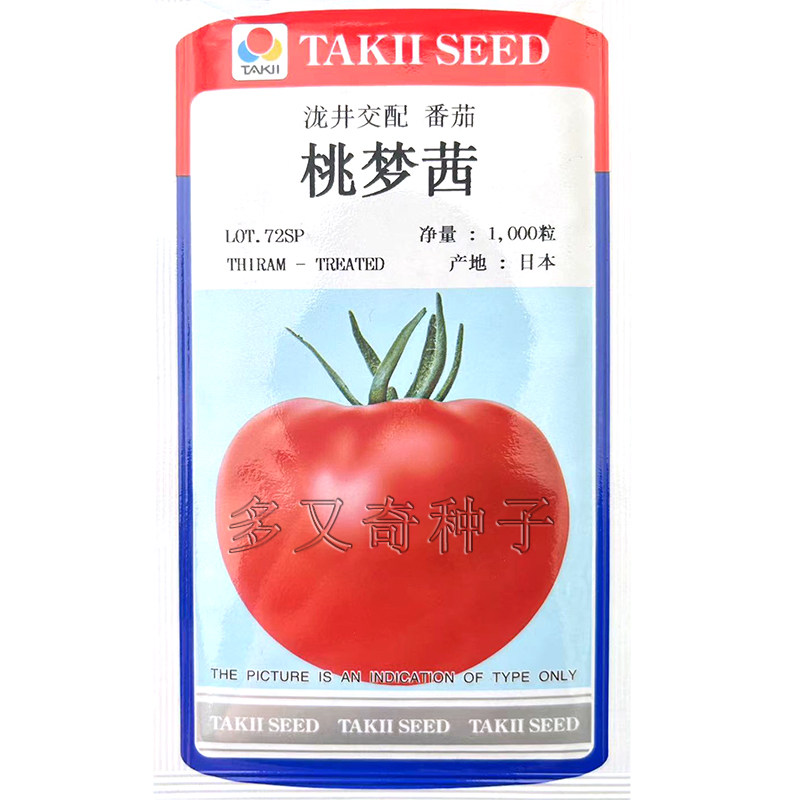 桃梦茜番茄种子 秋冬保护地水果西红柿种子日本泷井番茄籽口感好