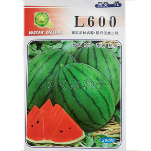 L600西瓜种子  航兴天秀二号早春小西瓜种子皮薄糖度高耐裂水果籽