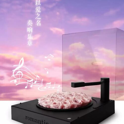 送闺蜜女朋友礼物永生花留声机