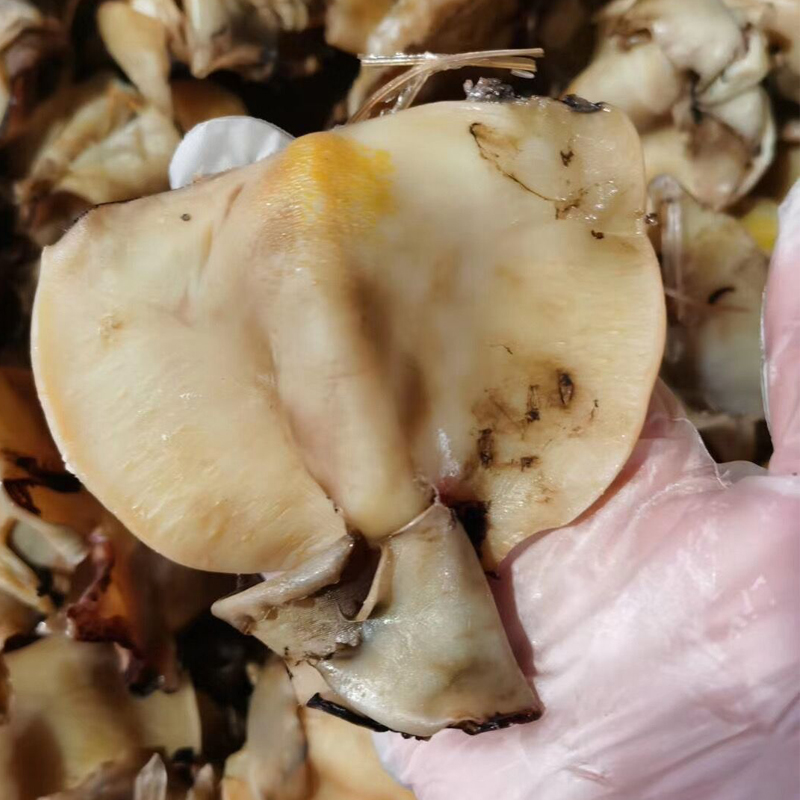 温州东海 小墨鱼干250克目鱼干煲 汤乌贼烤鱼干